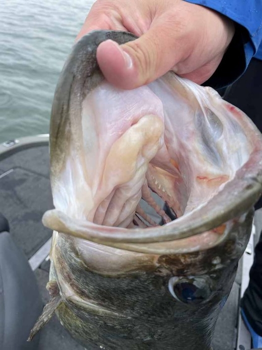 truth  ブログ写真 2023/04/25