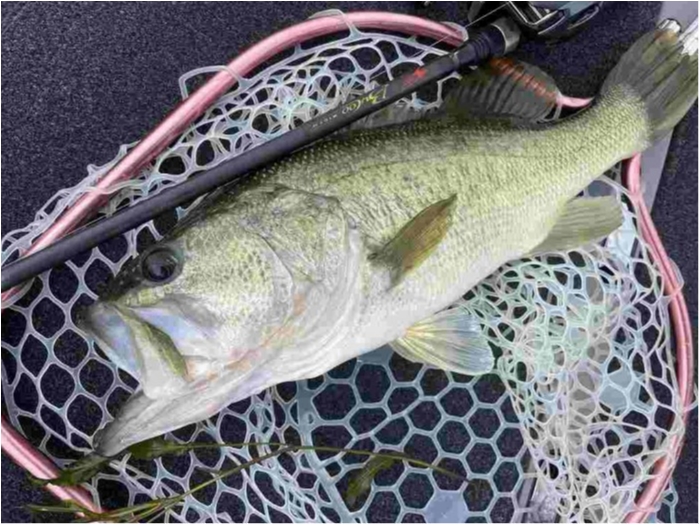 truth  ブログ写真 2023/06/09