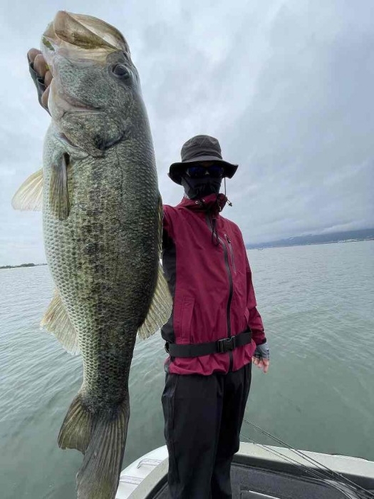 truth  ブログ写真 2023/06/11