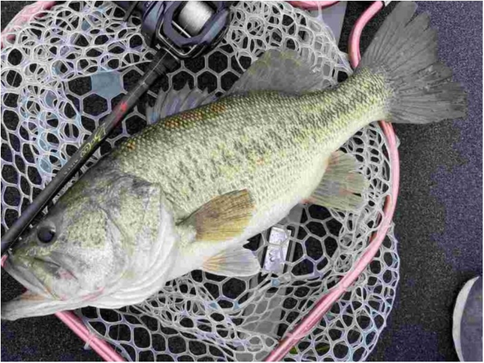 truth  ブログ写真 2023/06/11