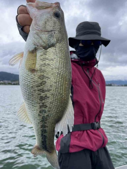 truth  ブログ写真 2023/06/11