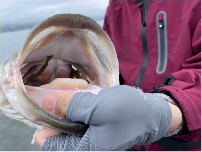 truth  ブログ写真 2023/06/11