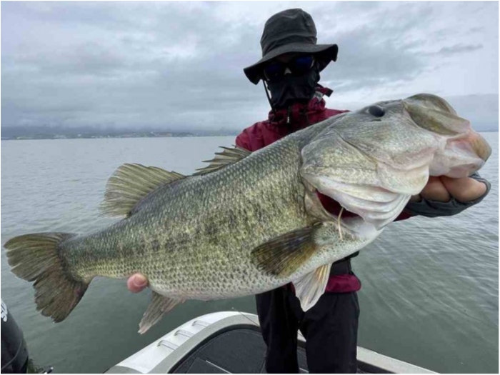 truth  ブログ写真 2023/06/11