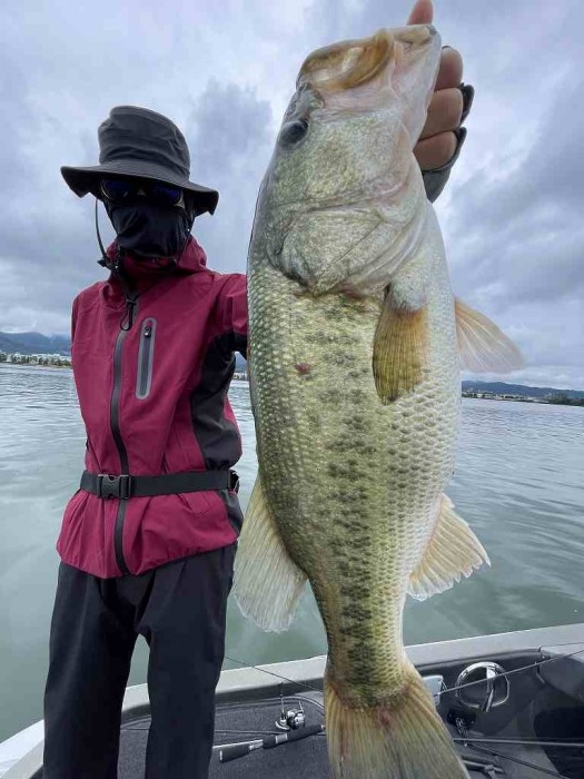 truth  ブログ写真 2023/06/11