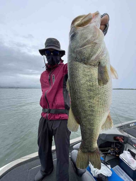 truth  ブログ写真 2023/06/11