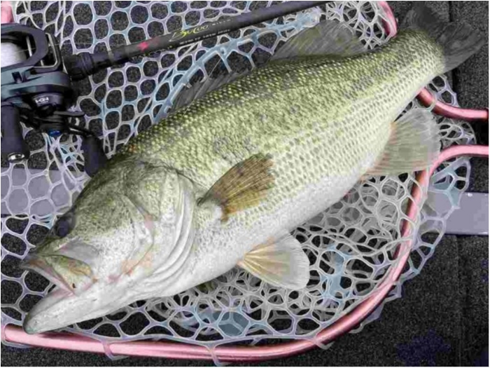 truth  ブログ写真 2023/06/12