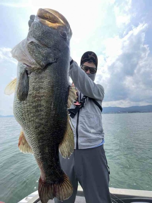 truth  ブログ写真 2023/06/13