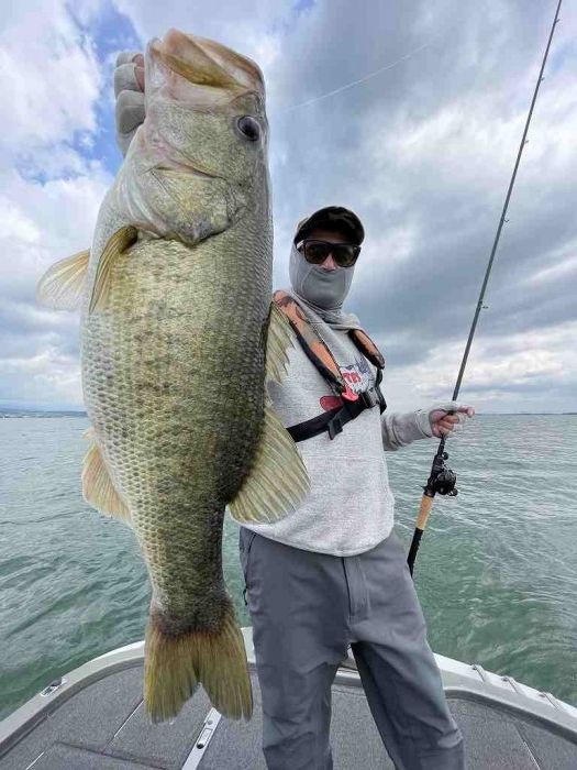 truth  ブログ写真 2023/06/13