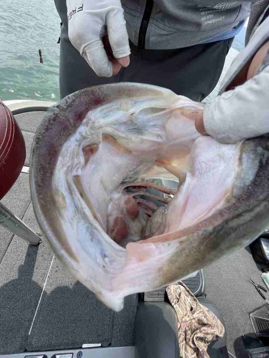 truth  ブログ写真 2023/06/13