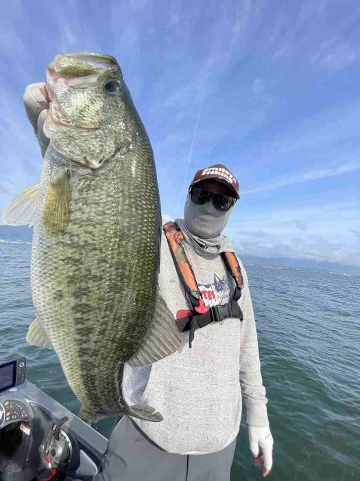 truth  ブログ写真 2023/06/13