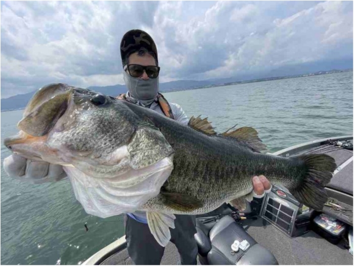 truth  ブログ写真 2023/06/13