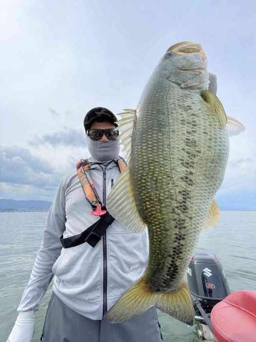 truth  ブログ写真 2023/06/13