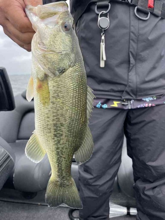 truth  ブログ写真 2023/06/14