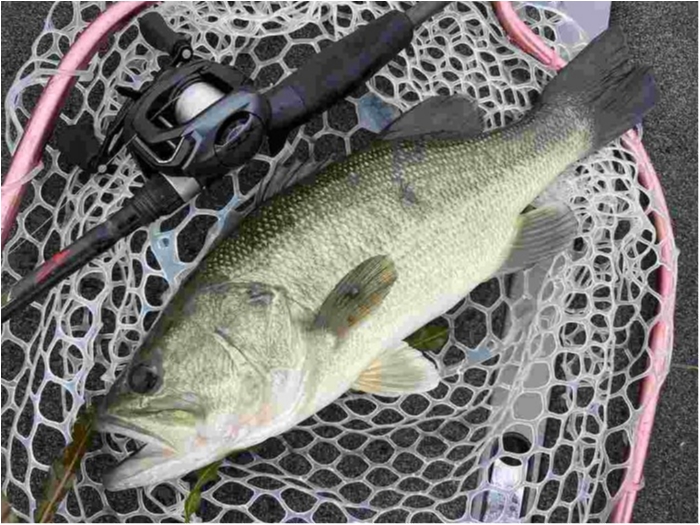 truth  ブログ写真 2023/06/15