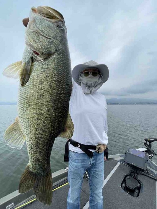 truth  ブログ写真 2023/06/15