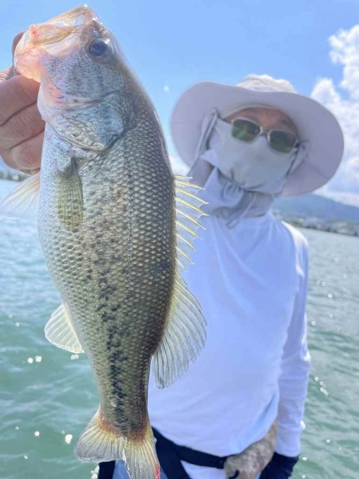 truth  ブログ写真 2023/06/16