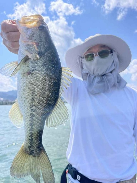 truth  ブログ写真 2023/06/16