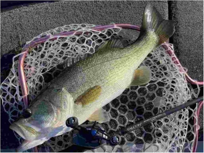 truth  ブログ写真 2023/06/16