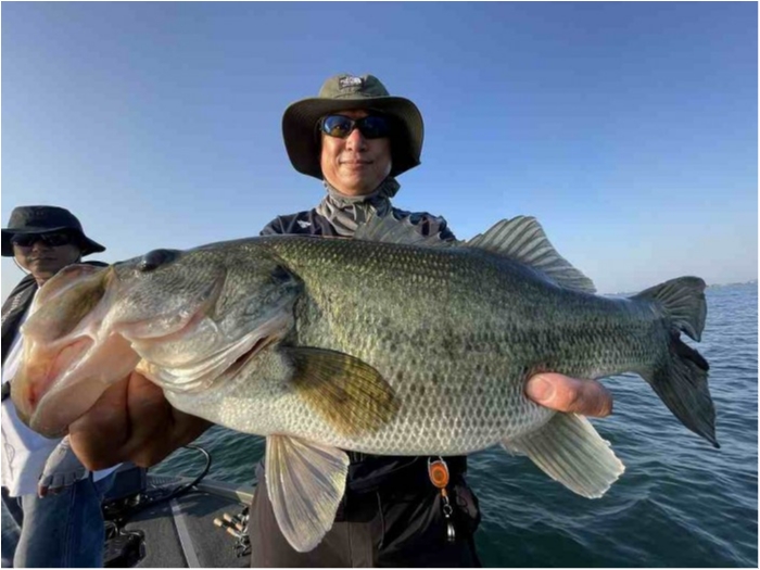 truth  ブログ写真 2023/06/17