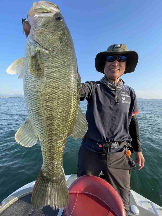 truth  ブログ写真 2023/06/17