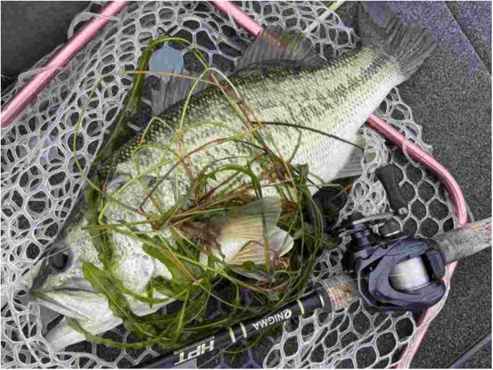 truth  ブログ写真 2023/06/18