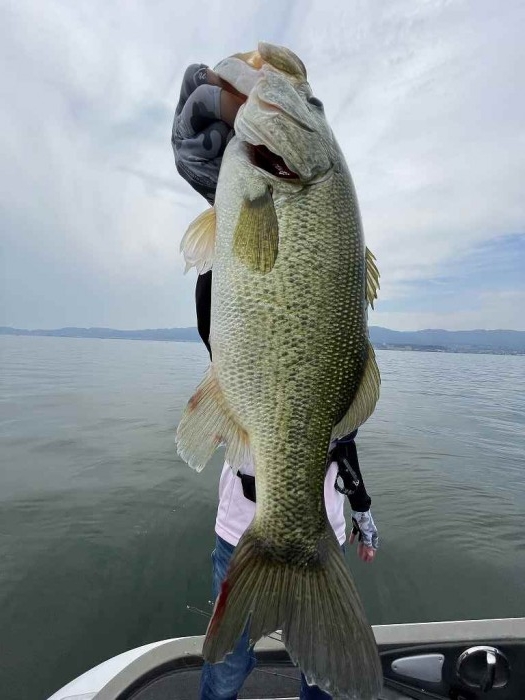 truth  ブログ写真 2023/06/18