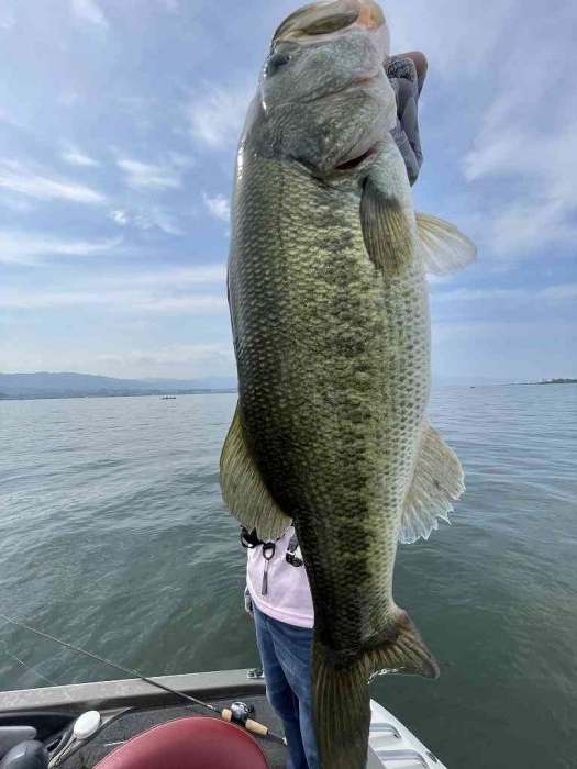 truth  ブログ写真 2023/06/18