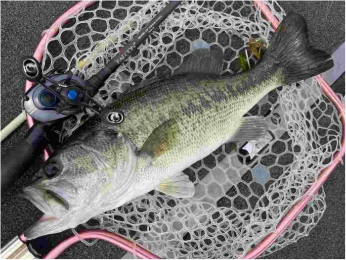 truth  ブログ写真 2023/06/21