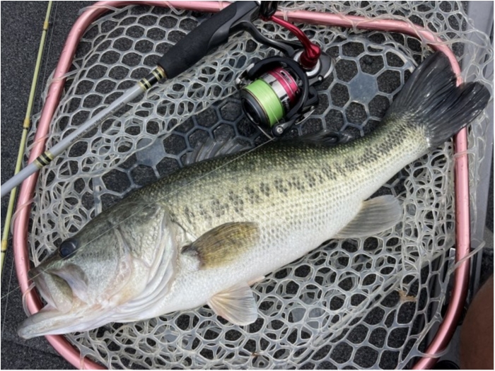 truth  ブログ写真 2023/06/24