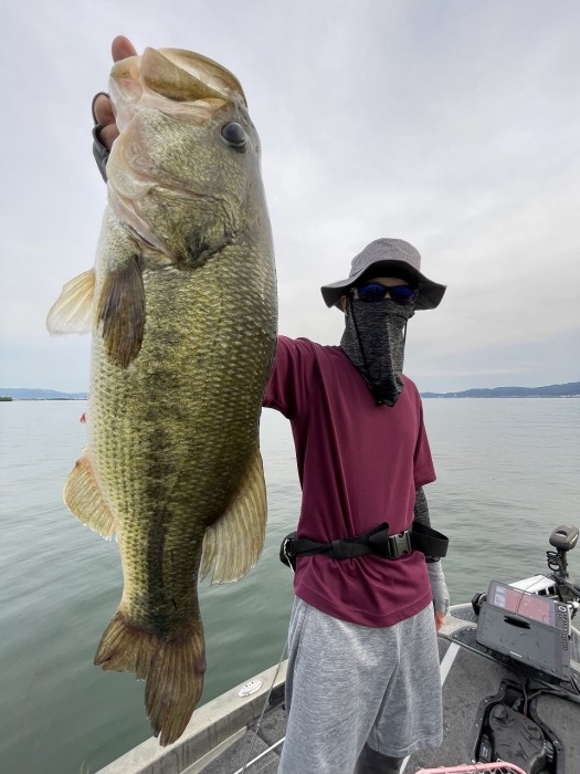 truth  ブログ写真 2023/06/25