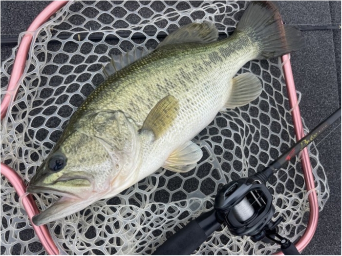 truth  ブログ写真 2023/06/25