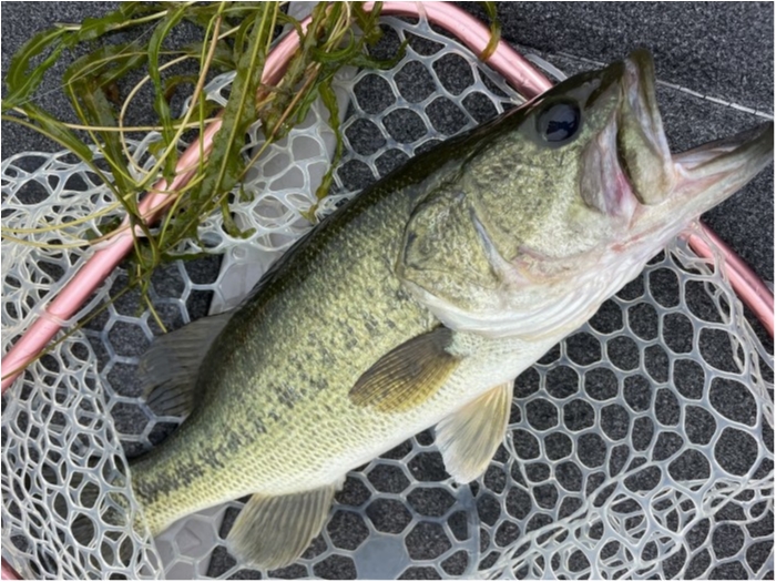 truth  ブログ写真 2023/06/26