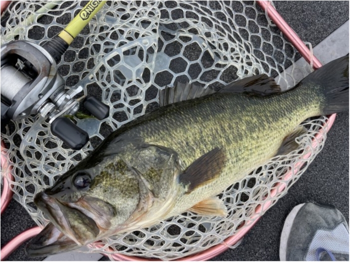 truth  ブログ写真 2023/06/26