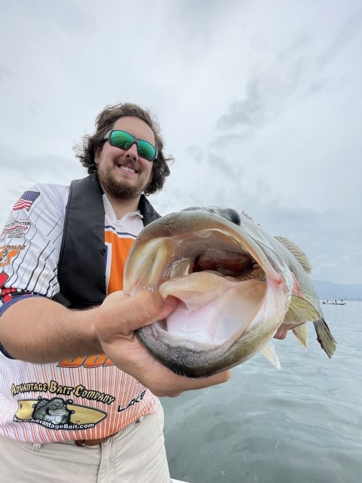 truth  ブログ写真 2023/06/26