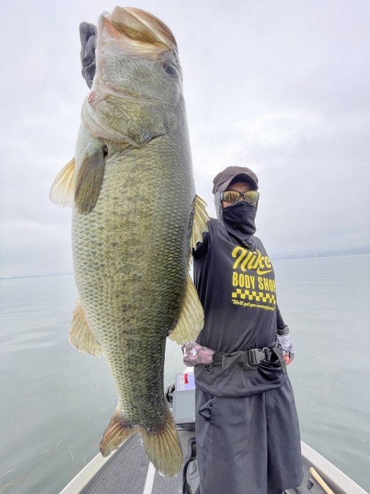 truth  ブログ写真 2023/06/27