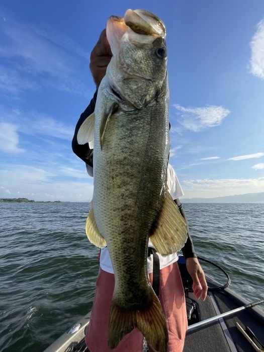 truth  ブログ写真 2023/06/27