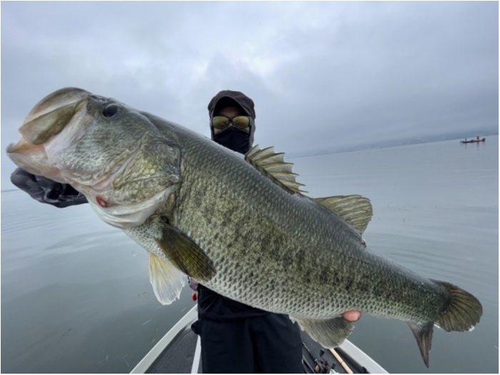 truth  ブログ写真 2023/06/27