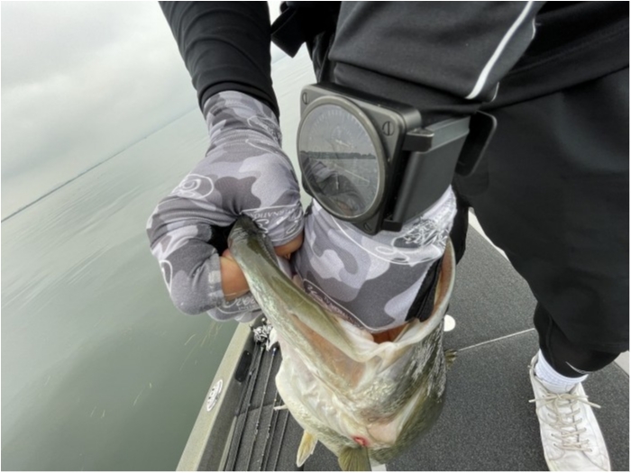 truth  ブログ写真 2023/06/27