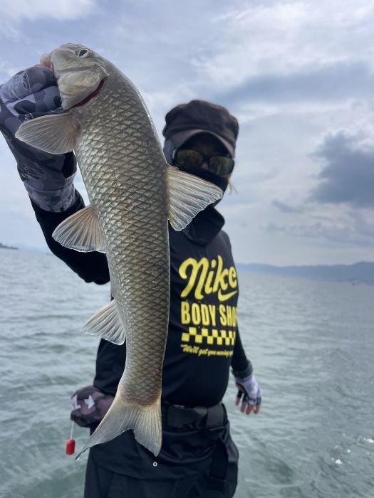 truth  ブログ写真 2023/06/27