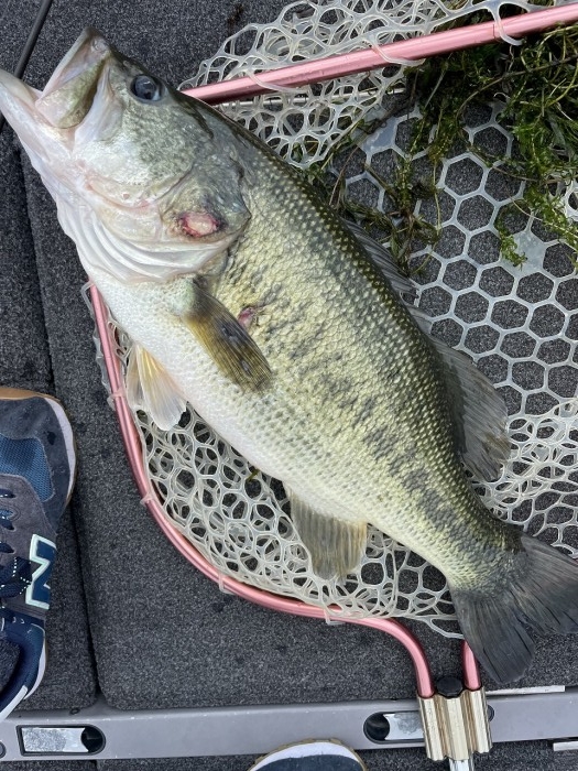 truth  ブログ写真 2023/07/14