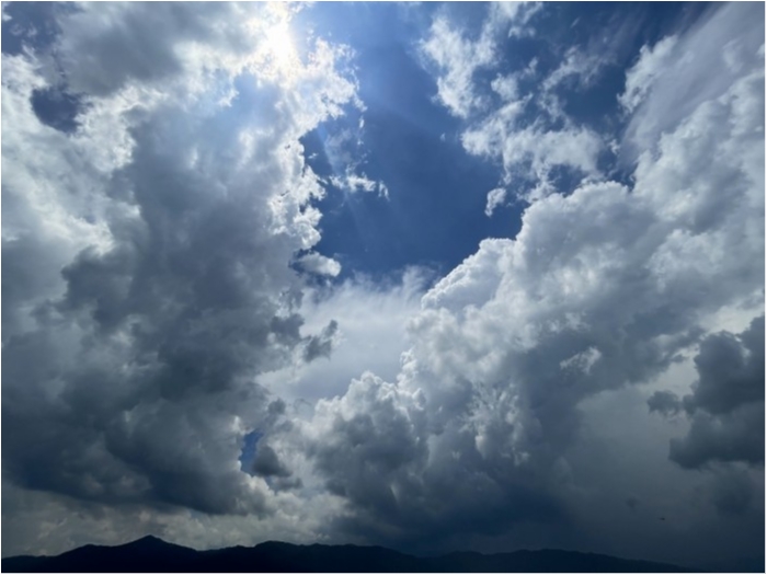 truth  ブログ写真 2023/07/14