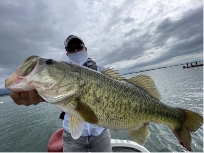 truth  ブログ写真 2023/07/15