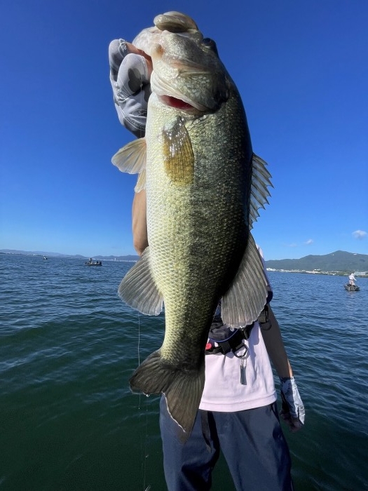 truth  ブログ写真 2023/07/17