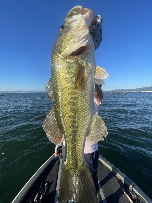 truth  ブログ写真 2023/07/17