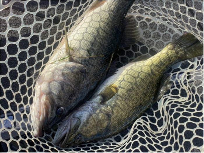 truth  ブログ写真 2023/07/17