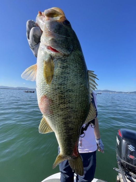 truth  ブログ写真 2023/07/17