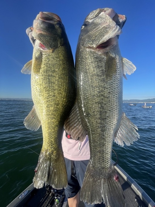 truth  ブログ写真 2023/07/17