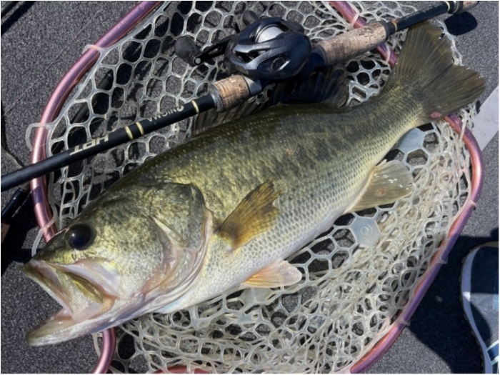 truth  ブログ写真 2023/07/17