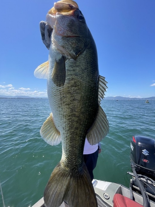 truth  ブログ写真 2023/07/17