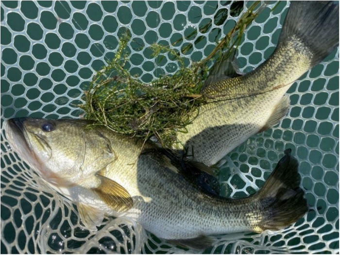 truth  ブログ写真 2023/07/17